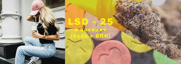 ГАЛЛЮЦИНОГЕННЫЕ ГРИБЫ Белокуриха