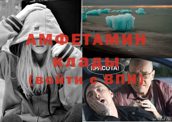 ГАЛЛЮЦИНОГЕННЫЕ ГРИБЫ Белокуриха